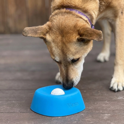 Slow Feeder Dog Bowl for Liquid Treats